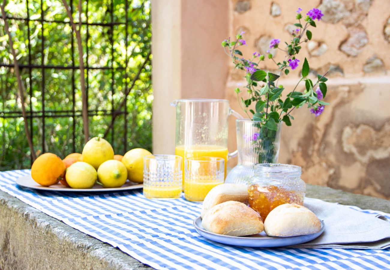 Villa in Sóller - Villa Can Pusteta 