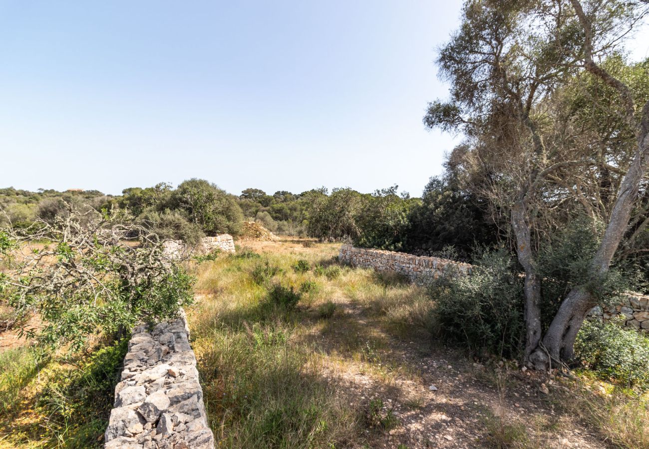Grundstück in Santanyi - Finca Grundstück nahe Santanyí 500 m zum Strand mit Baugenehmigung Grundstück in Santanyi - Finca Grundstück nahe Santanyí 500 m zum Strand mit Baugenehmigung