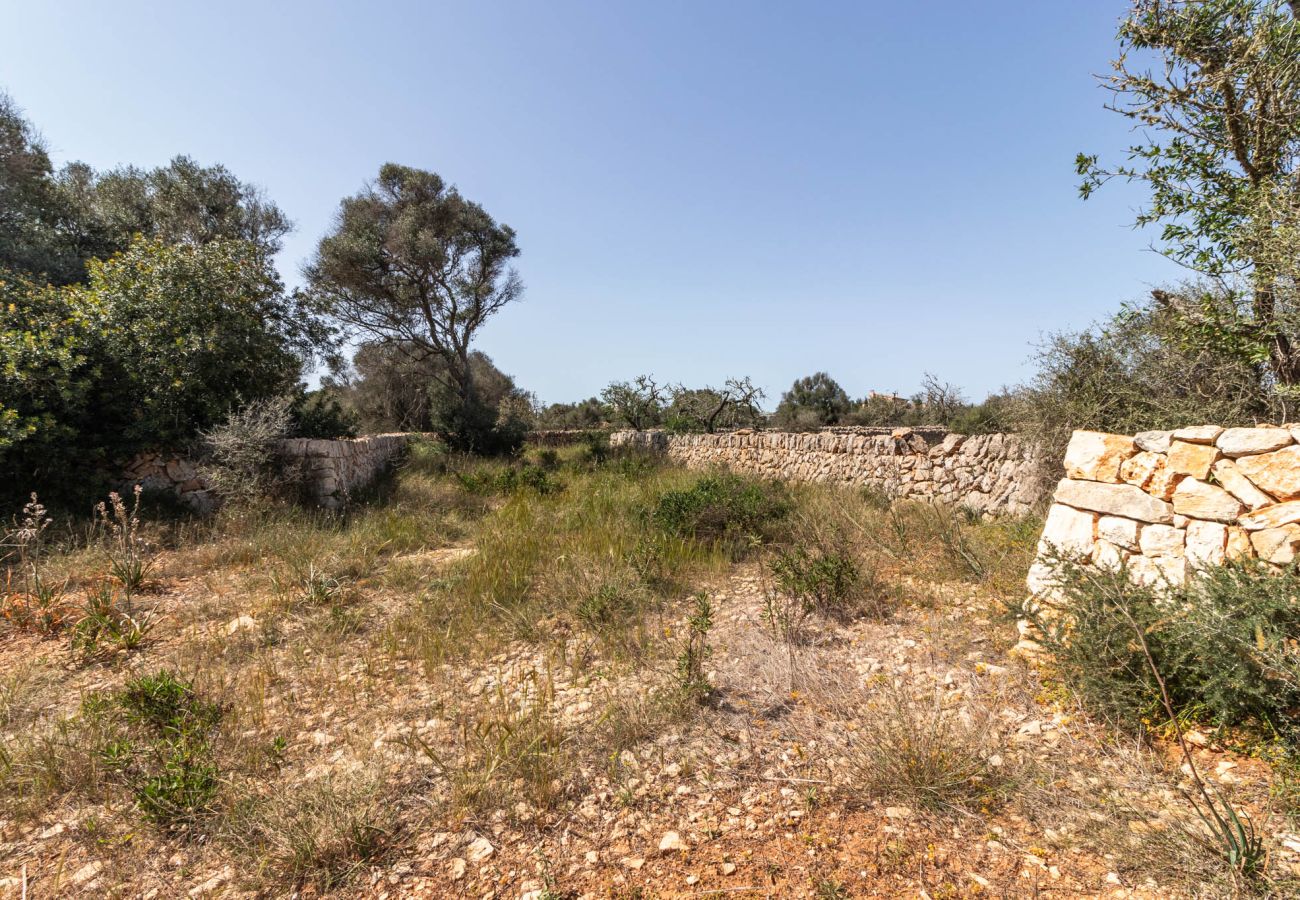 Grundstück in Santanyi - Finca Grundstück nahe Santanyí 500 m zum Strand mit Baugenehmigung Grundstück in Santanyi - Finca Grundstück nahe Santanyí 500 m zum Strand mit Baugenehmigung
