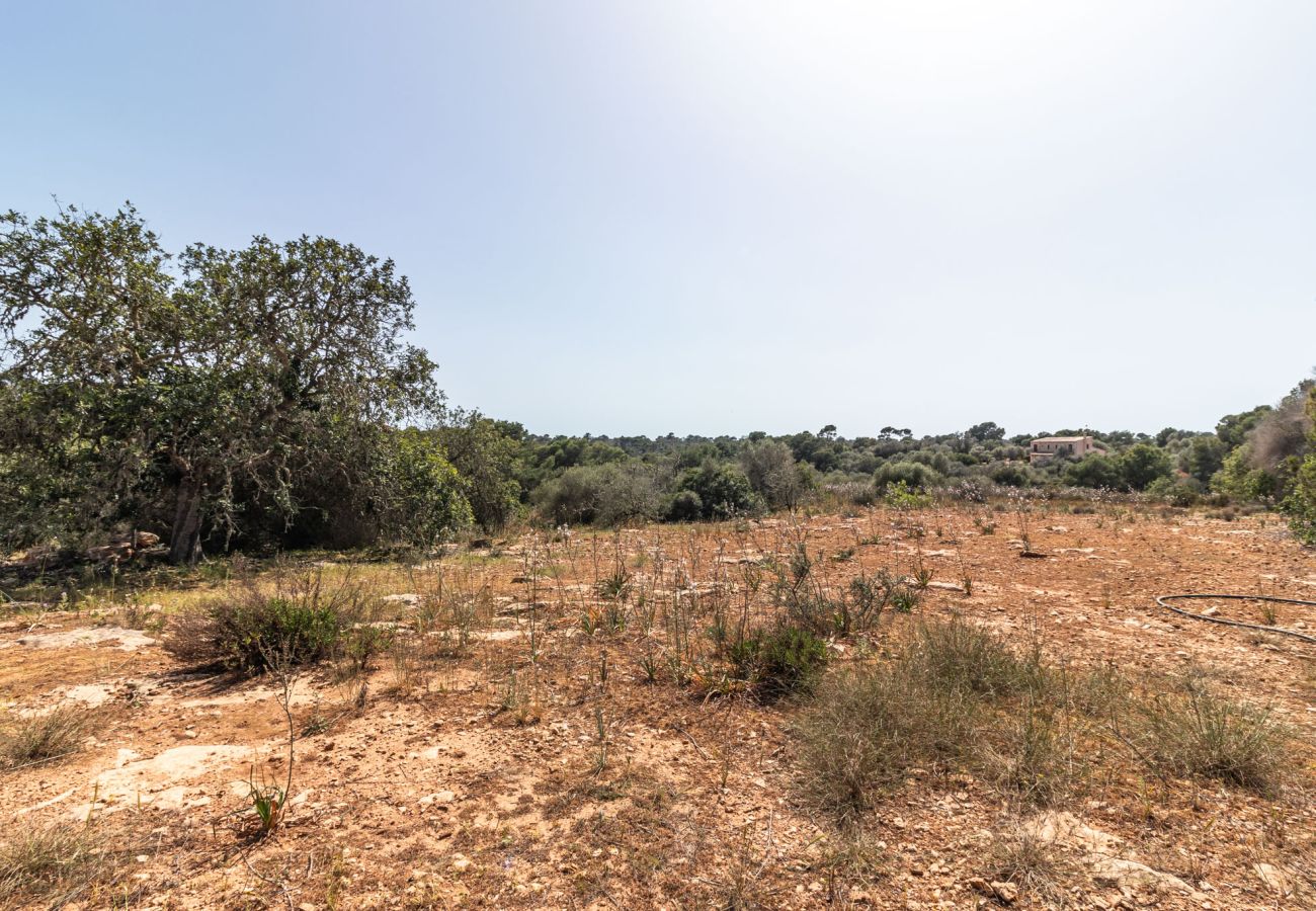 Grundstück in Santanyi - Finca Grundstück nahe Santanyí 500 m zum Strand mit Baugenehmigung Grundstück in Santanyi - Finca Grundstück nahe Santanyí 500 m zum Strand mit Baugenehmigung