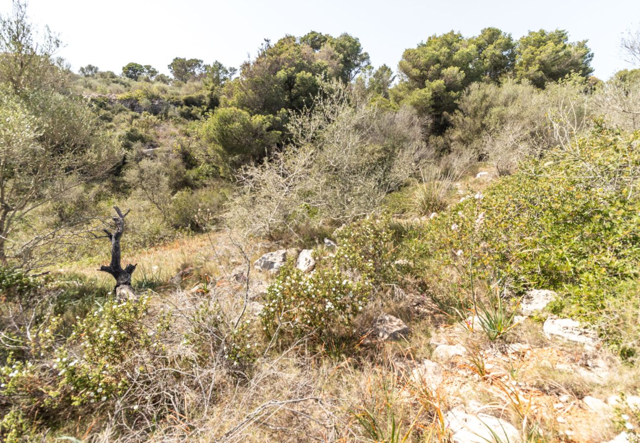 Grundstück in Santanyi - Finca Grundstück nahe Santanyí 500 m zum Strand mit Baugenehmigung Grundstück in Santanyi - Finca Grundstück nahe Santanyí 500 m zum Strand mit Baugenehmigung