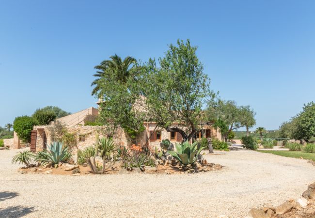 Finca in Santanyi - Finca Aries Finca im mallorquinischen Stil, für monatliche Mieten in Santanyi Finca in Santanyi - Finca Aries Finca im mallorquinischen Stil, für monatliche Mieten in Santanyi