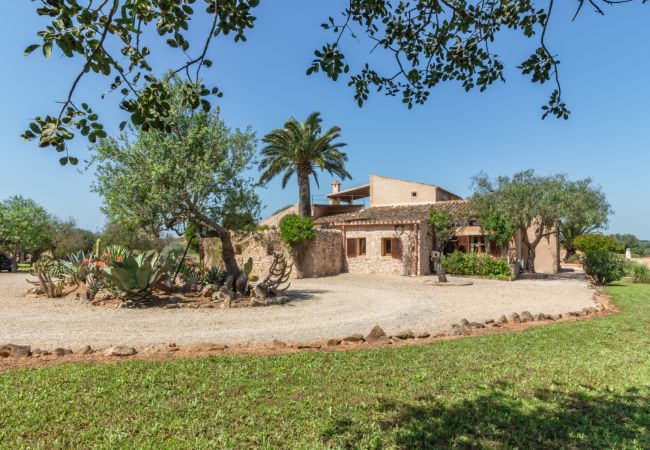 Finca in Santanyi - Finca Aries Finca im mallorquinischen Stil, für monatliche Mieten in Santanyi Finca in Santanyi - Finca Aries Finca im mallorquinischen Stil, für monatliche Mieten in Santanyi