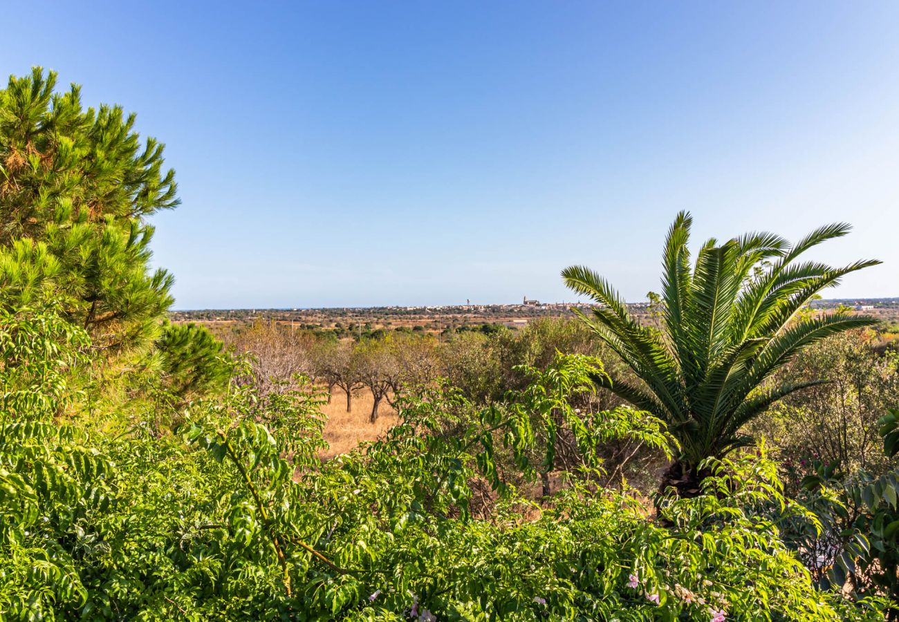 Finca in Santanyi - Can Blai Blai - Finca mit idyllischem Garten, Weitblick und Pool 