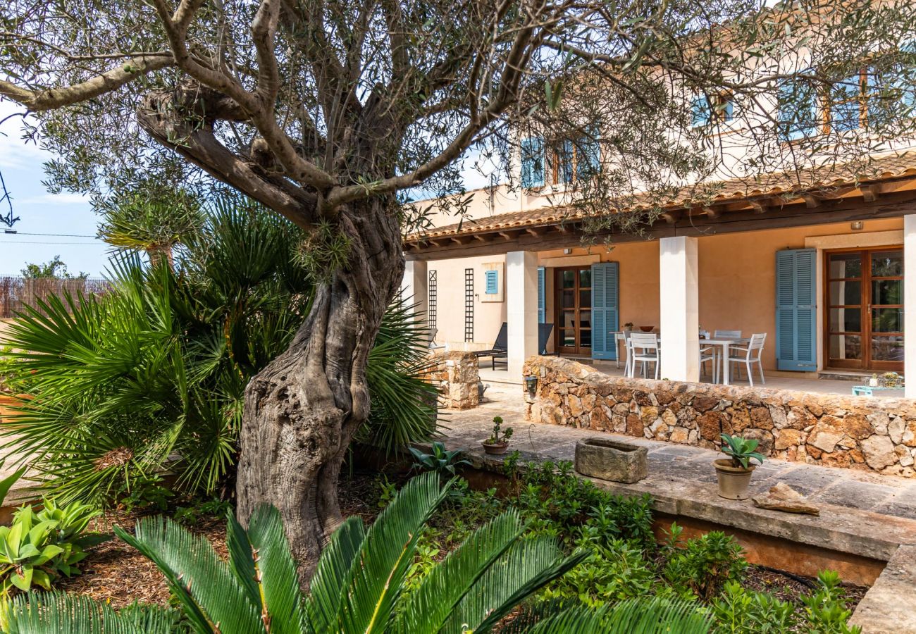 Ferienhaus in Es Llombards -  Sa Bassa » Finca in Ortsrandlage