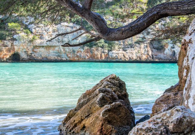 Ferienwohnung in Cala Santanyi - Sa Tronita Beach House Ferienhaus mit Blick auf Cala Santanyi nur wenige Schritte vom Strand entfernt Ferienwohnung in Cala Santanyi - Sa Tronita Beach House Ferienhaus mit Blick auf Cala Santanyi nur wenige Schritte vom Strand entfernt