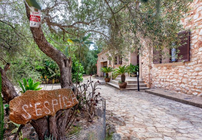 Finca in Portocolom - Pine Tree House Espiga Ruhiges Ferienhaus mit Pool in Porto Colom, ideal für Familien & Entspannung Finca in Portocolom - Pine Tree House Espiga Ruhiges Ferienhaus mit Pool in Porto Colom, ideal für Familien & Entspannung