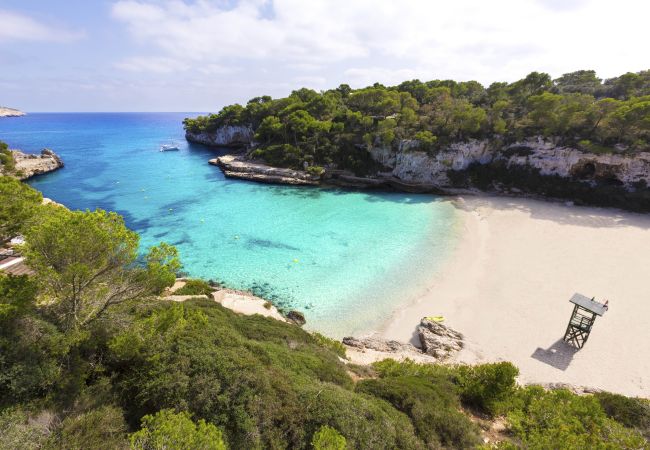 Ferienwohnung in Es Llombards - CASA DE LA PINTORA << Untergeschoss Adults Only Ferienwohnung in Es Llombards - CASA DE LA PINTORA << Untergeschoss Adults Only