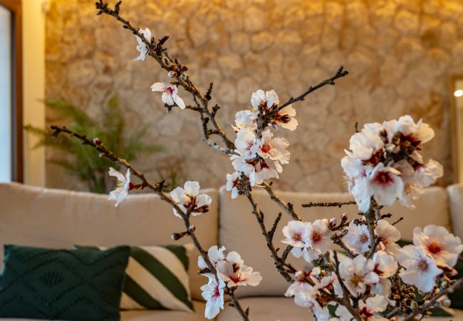 Villa in Ses Salines - Casa Sa Cisterna großzügiges und modernes Haus zur monatlichen Vermietung am ruhigen Ortsrand von Ses Salines im Südosten Mallorcas Villa in Ses Salines - Casa Sa Cisterna großzügiges und modernes Haus zur monatlichen Vermietung am ruhigen Ortsrand von Ses Salines im Südosten Mallorcas
