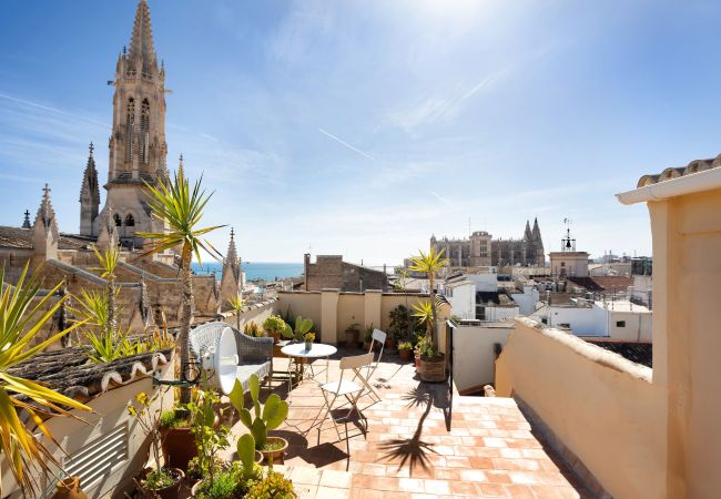 Ferienwohnung in Palma  - Stadtapartment im Zentrum von Palma mit atemberaubendem Blick über die Stadt Ferienwohnung in Palma  - Stadtapartment im Zentrum von Palma mit atemberaubendem Blick über die Stadt