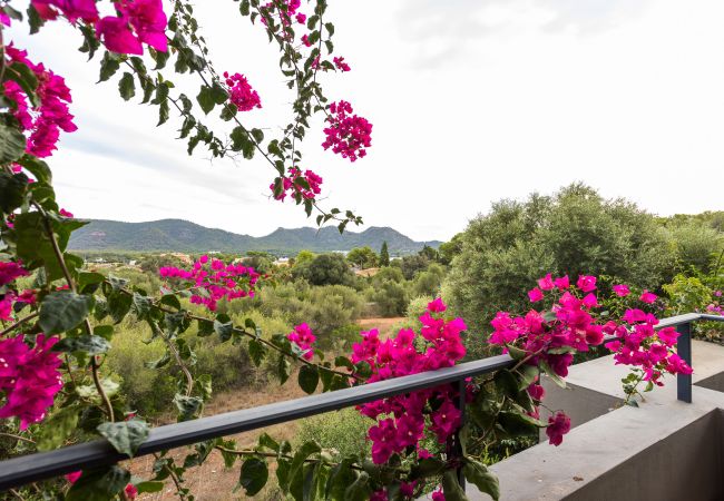 Ferienwohnung in Son Servera - Cala Bona Apartment mit Bergblick und Pool nahe dem Meer in Port Verd verfügbar für monatliche Vermietung Ferienwohnung in Son Servera - Cala Bona Apartment mit Bergblick und Pool nahe dem Meer in Port Verd verfügbar für monatliche Vermietung