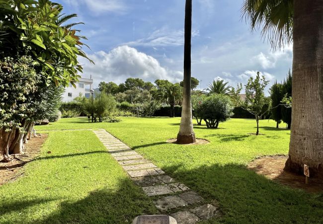 Ferienwohnung in Son Servera - Erdgeschoss Apartment in Port Verd mit Garten und Gemeinschaftspool verfügbar für monatliche Vermietung Ferienwohnung in Son Servera - Erdgeschoss Apartment in Port Verd mit Garten und Gemeinschaftspool verfügbar für monatliche Vermietung