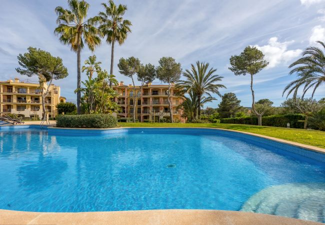 Ferienwohnung in Santa Ponça - Port Adriano Residence stilvolle Unterkunft mit Pool nahe dem Strand in Santa Ponsa verfügbar für temporäre Aufenthalte Ferienwohnung in Santa Ponça - Port Adriano Residence stilvolle Unterkunft mit Pool nahe dem Strand in Santa Ponsa verfügbar für temporäre Aufenthalte