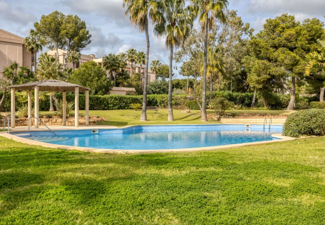 Ferienwohnung in Santa Ponça - Port Adriano Residence stilvolle Unterkunft mit Pool nahe dem Strand in Santa Ponsa verfügbar für temporäre Aufenthalte Ferienwohnung in Santa Ponça - Port Adriano Residence stilvolle Unterkunft mit Pool nahe dem Strand in Santa Ponsa verfügbar für temporäre Aufenthalte