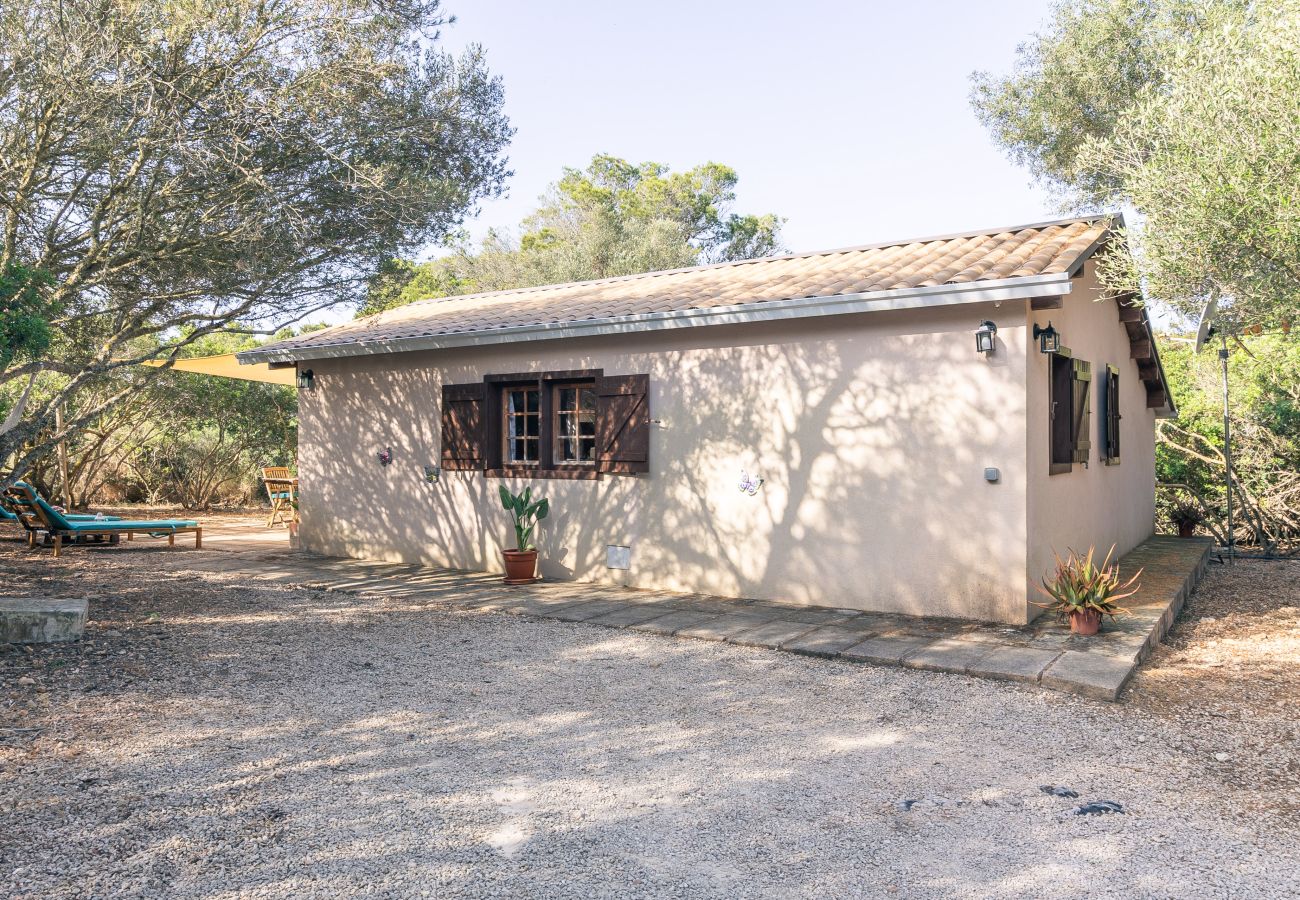 Landhaus in Ses Salines - Holzhäuschen Es Trenc