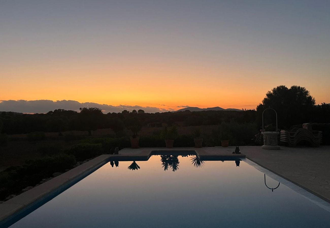 Finca in Son Carrió - Finca Es Molinet Nou Charmantes Ferienhaus mit privatem Pool in Son Carrió Mallorca