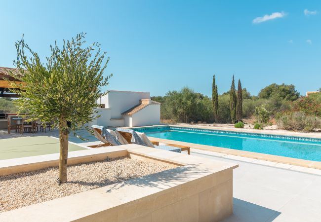 Villa in Ses Salines - Villa Olivo modernes Ferienhaus mit Pool auf Mallorca nahe Ses Salines und Es Trenc Villa in Ses Salines - Villa Olivo modernes Ferienhaus mit Pool auf Mallorca nahe Ses Salines und Es Trenc