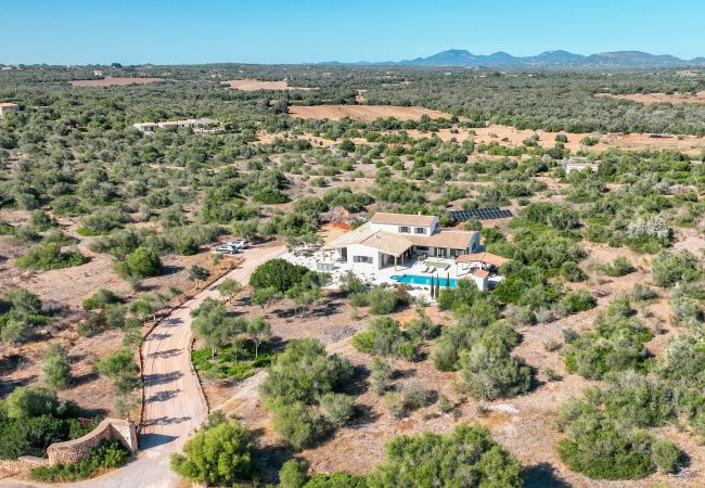 Villa in Ses Salines - Villa Olivo modernes Ferienhaus mit Pool auf Mallorca nahe Ses Salines und Es Trenc Villa in Ses Salines - Villa Olivo modernes Ferienhaus mit Pool auf Mallorca nahe Ses Salines und Es Trenc