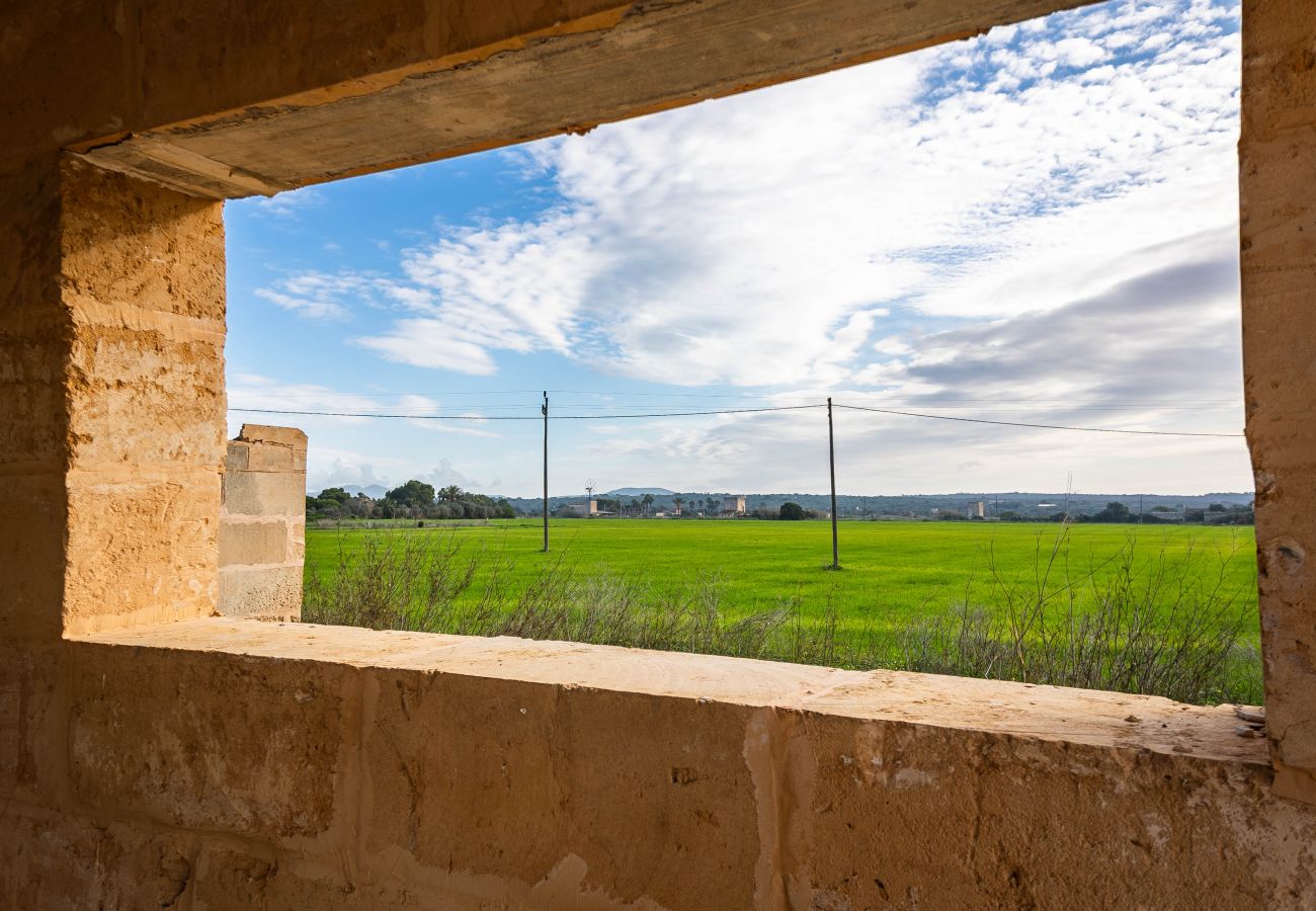 Finca en Campos - Finca Campo Sol Finca moderna en Campos con piscina en alquiler a largo plazo en Mallorca