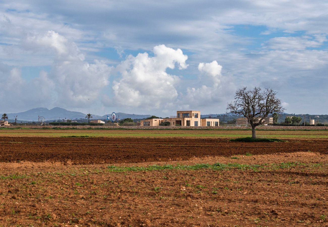 Finca en Campos - Finca Campo Sol Finca moderna en Campos con piscina en alquiler a largo plazo en Mallorca