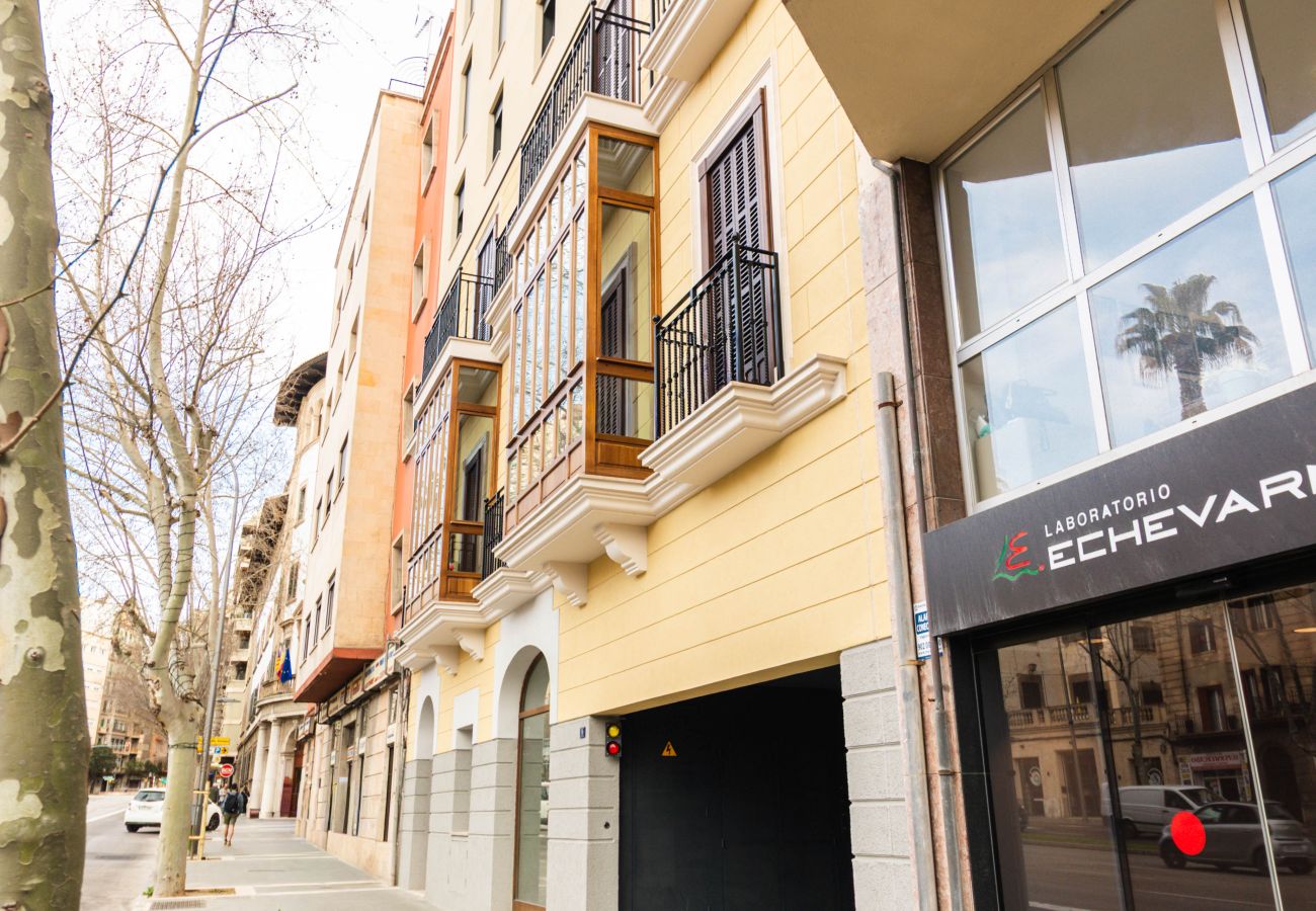 Piso en Palma  - Apartamento moderno en alquiler de larga estancia en Palma con 3 dormitorios y terraza