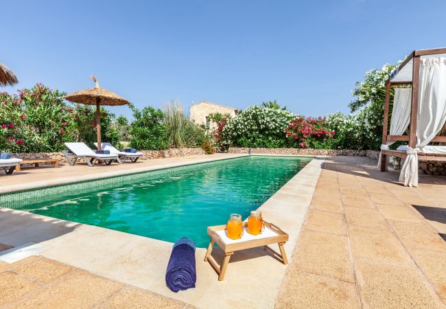  en Campos - Finca Diez Grados Mas » finca moderna con piscina en la naturaleza de Mallorca 