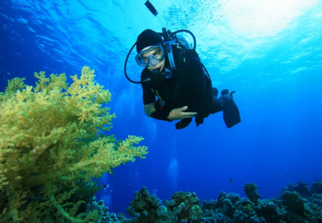 Apartamento en Portocolom - La Ola Beach House alojamiento vacacional junto al mar con piscina comunitaria en Porto Colom Apartamento en Portocolom - La Ola Beach House alojamiento vacacional junto al mar con piscina comunitaria en Porto Colom