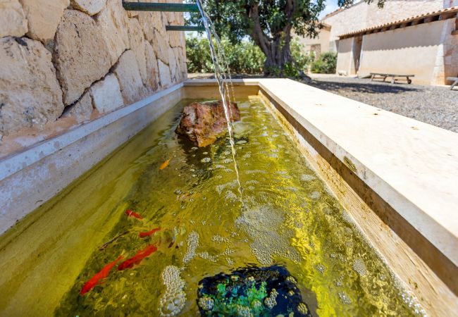 Villa en Santanyi - El Torre Villa de lujo con piscina privada, disponible para estancias mensuales en Santanyi Villa en Santanyi - El Torre Villa de lujo con piscina privada, disponible para estancias mensuales en Santanyi