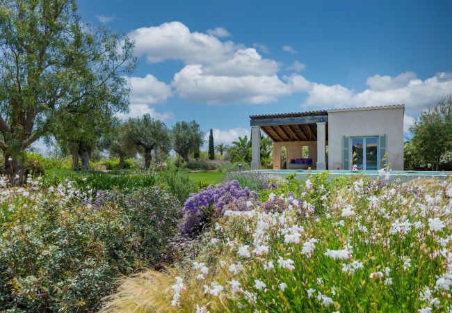 Villa en Santanyi - El Torre Villa de lujo con piscina privada, disponible para estancias mensuales en Santanyi Villa en Santanyi - El Torre Villa de lujo con piscina privada, disponible para estancias mensuales en Santanyi