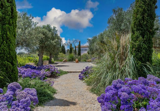 Villa en Santanyi - El Torre Villa de lujo con piscina privada, disponible para estancias mensuales en Santanyi Villa en Santanyi - El Torre Villa de lujo con piscina privada, disponible para estancias mensuales en Santanyi