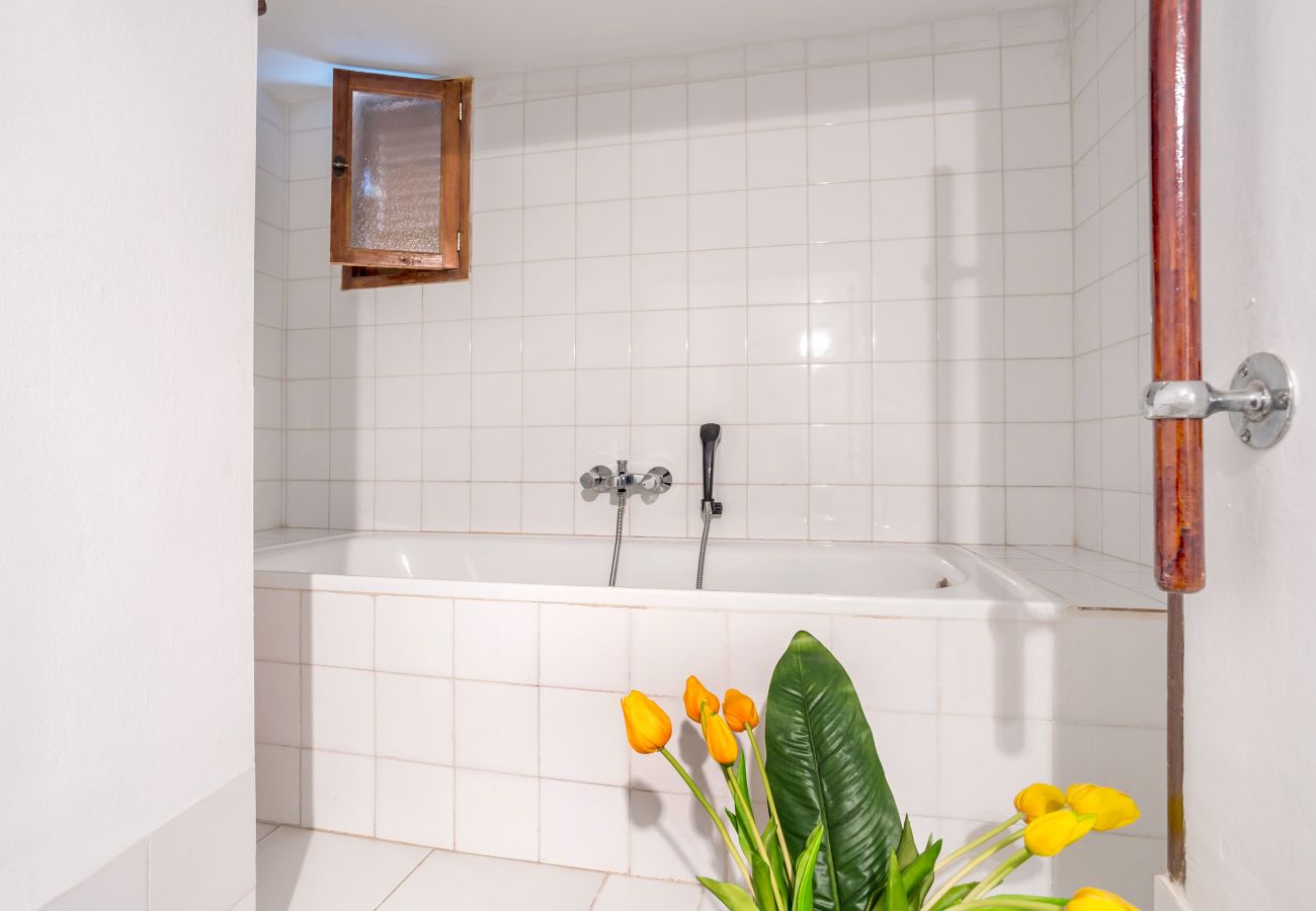 Apartamento en Palma  - Apartamento en el centro de Palma con impresionantes vistas a la ciudad