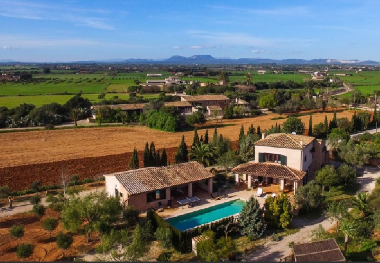 Casa en Campos - Casa de vacaciones Can Riera Elegante alojamiento con piscina para 12 personas cerca de la playa de Es Trenc