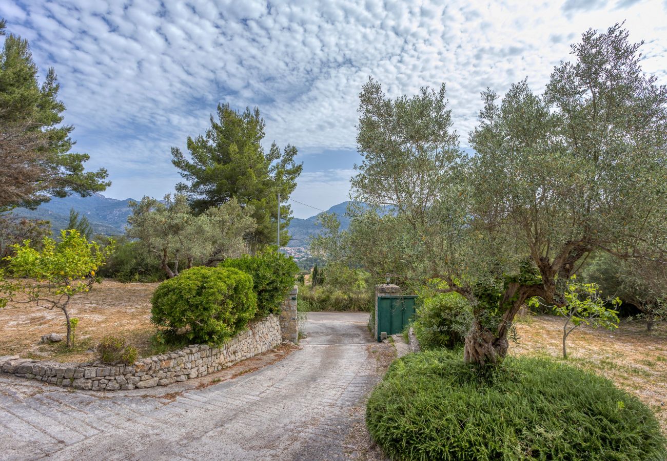 Estudio en Puigpunyent - Estudio de trabajo en la Sierra de Tramuntana (Mallorca) en alquiler mensual