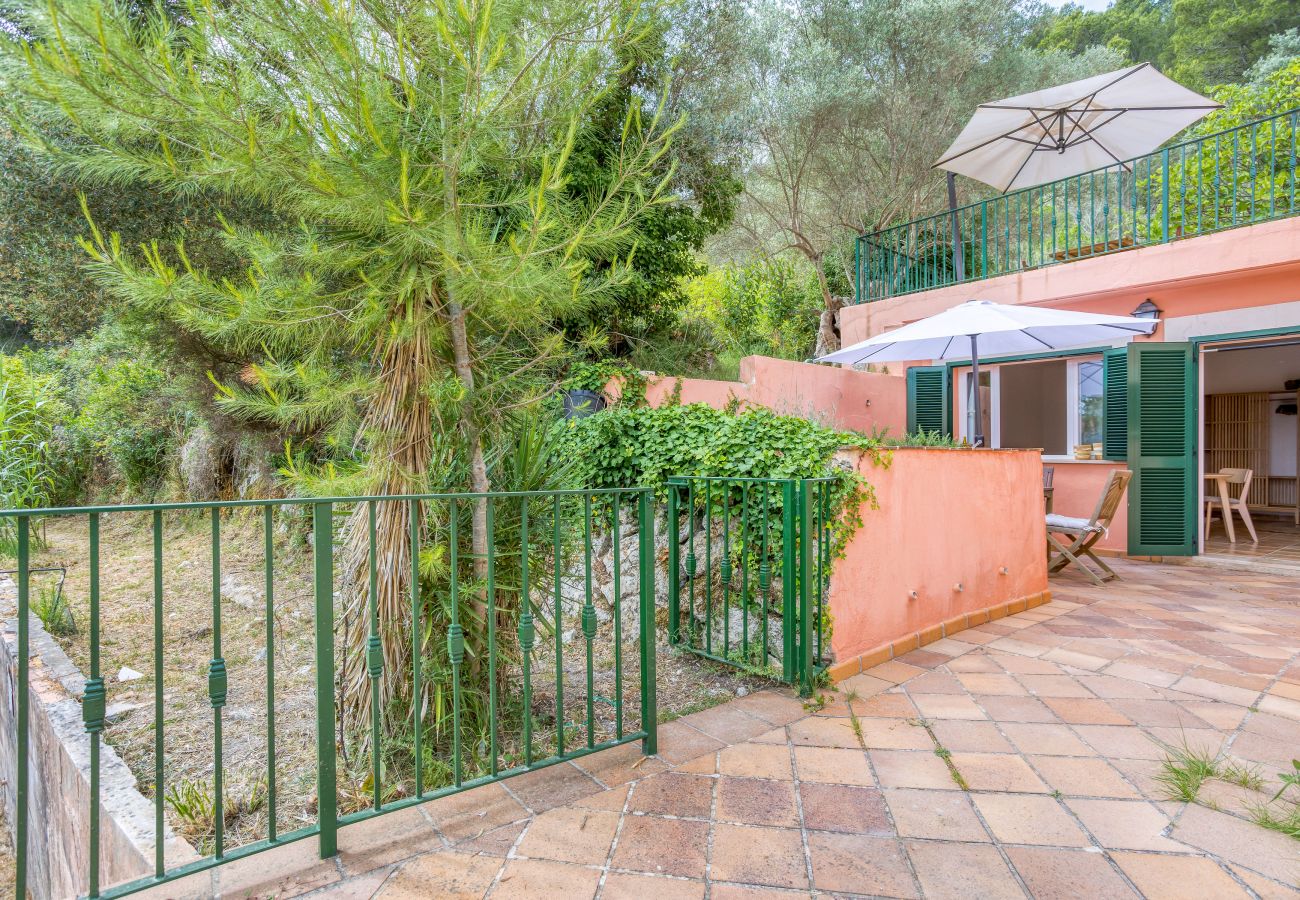 Estudio en Puigpunyent - Estudio de trabajo en la Sierra de Tramuntana (Mallorca) en alquiler mensual