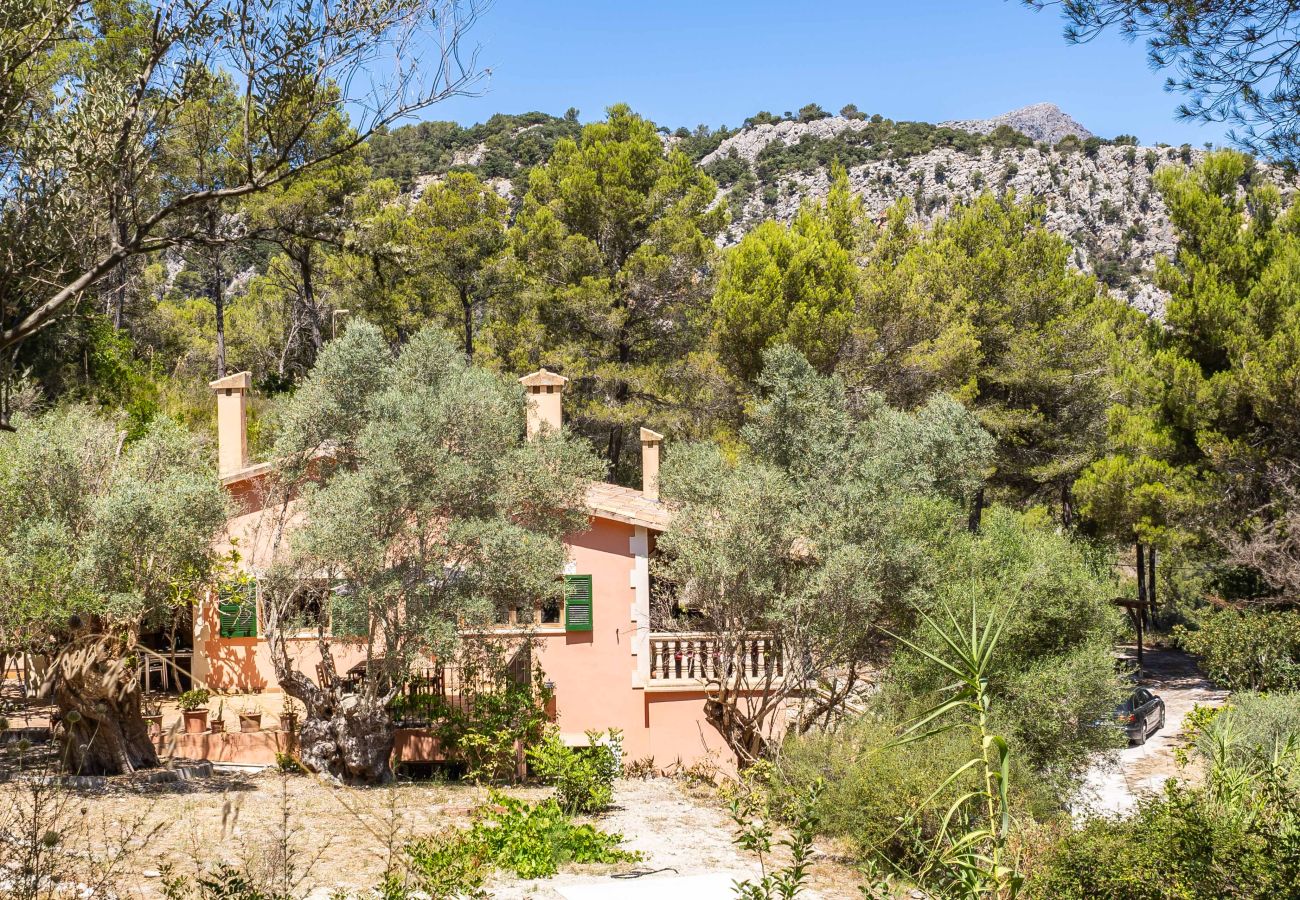 Finca en Puigpunyent - Finca exclusiva en la Tramuntana de Mallorca para alquiler mensual