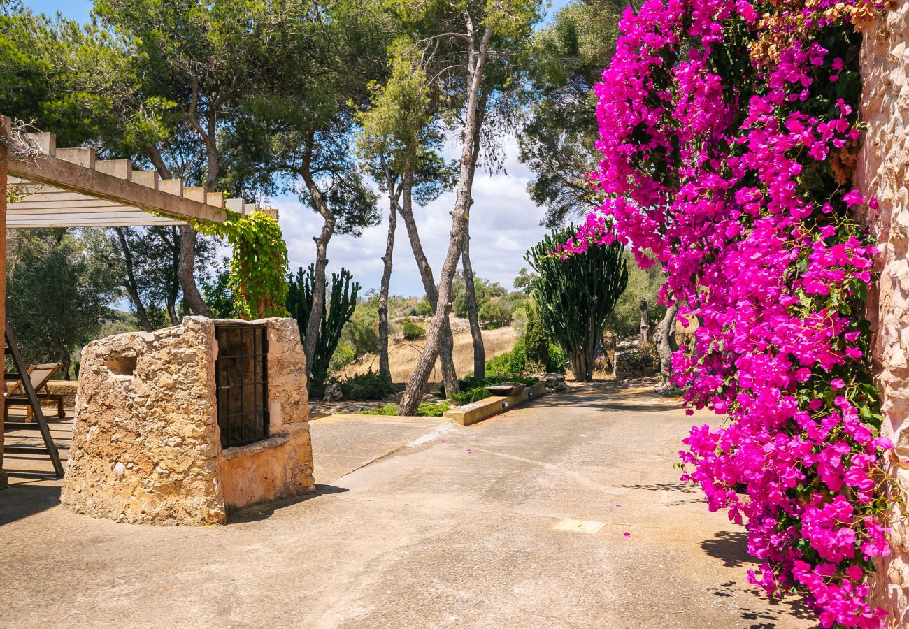 Casa en Cas Concos - Can Pessal casa de vacaciones en la montaña con piscina privada cerca de Es Carritx Mallorca