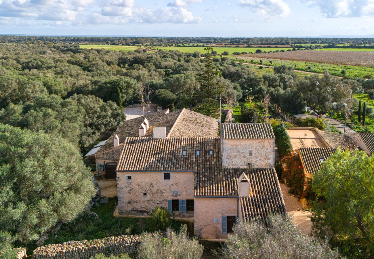 Finca en LLucmajor - Finca Terra Vella finca de lujo con hasta 11 dormitorios en alquiler mensual en Mallorca