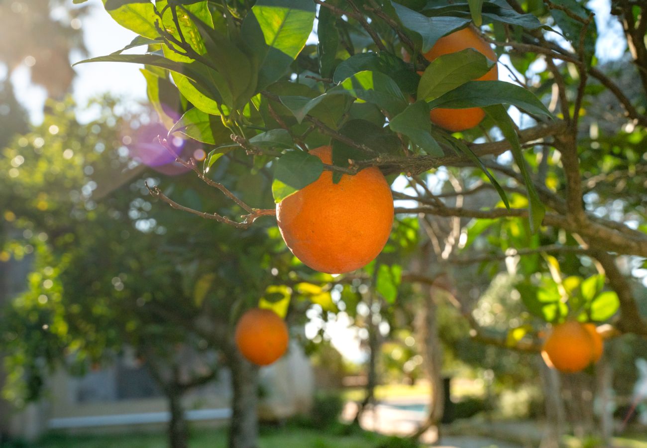 Finca en Manacor - Casa vacacional El Castillo con piscina para 12 personas cerca de Manacor en Mallorca