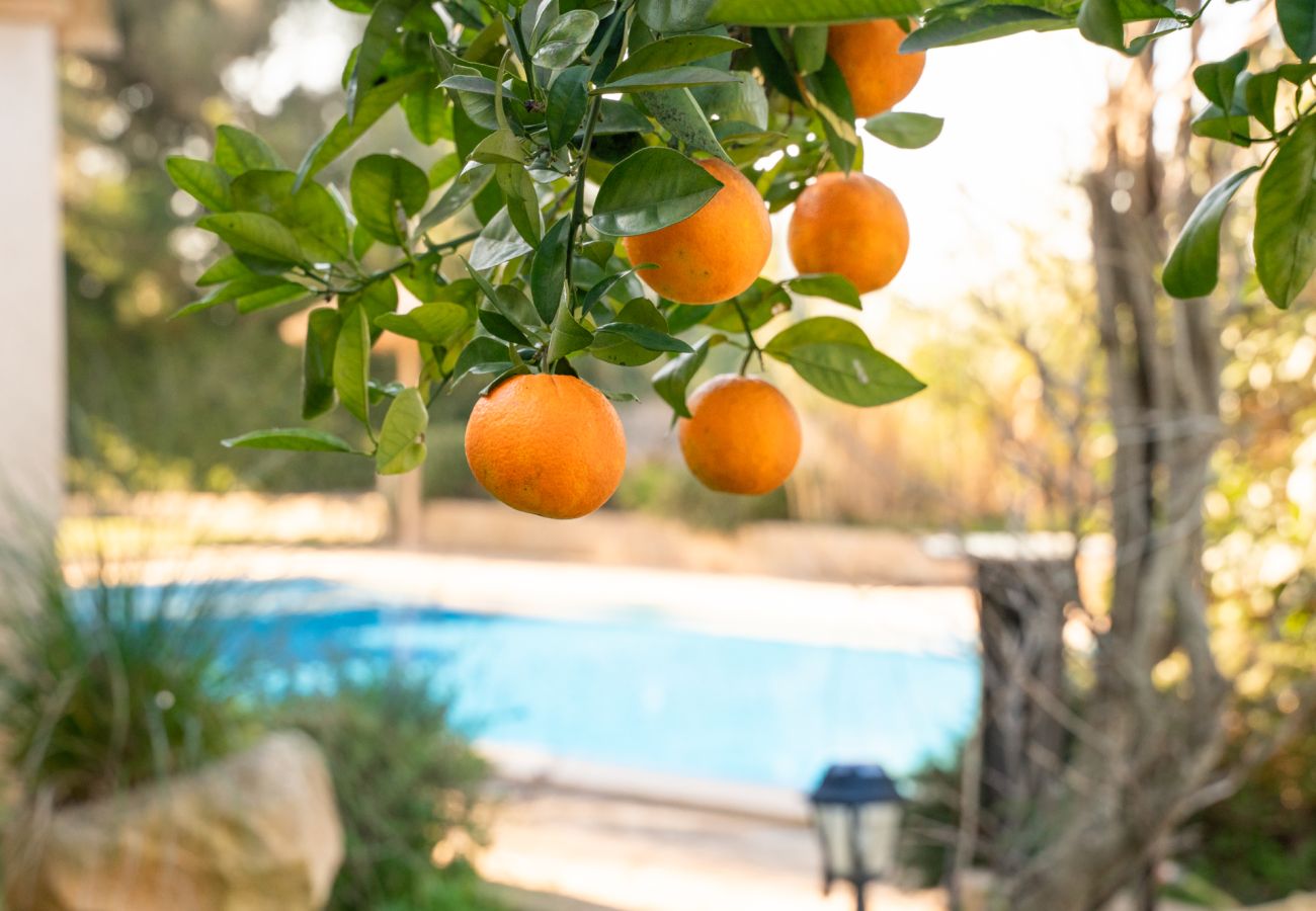 Finca en Manacor - Casa vacacional El Castillo con piscina para 12 personas cerca de Manacor en Mallorca