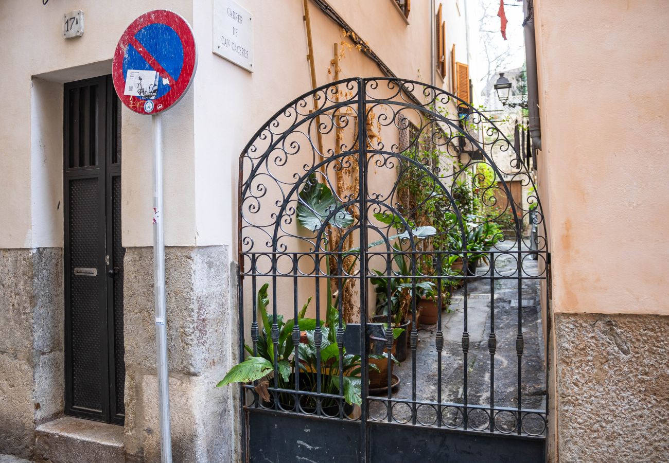 Estudio en Palma  - Estudio La Lonja Palma Casco Antiguo para Alquiler Mensual