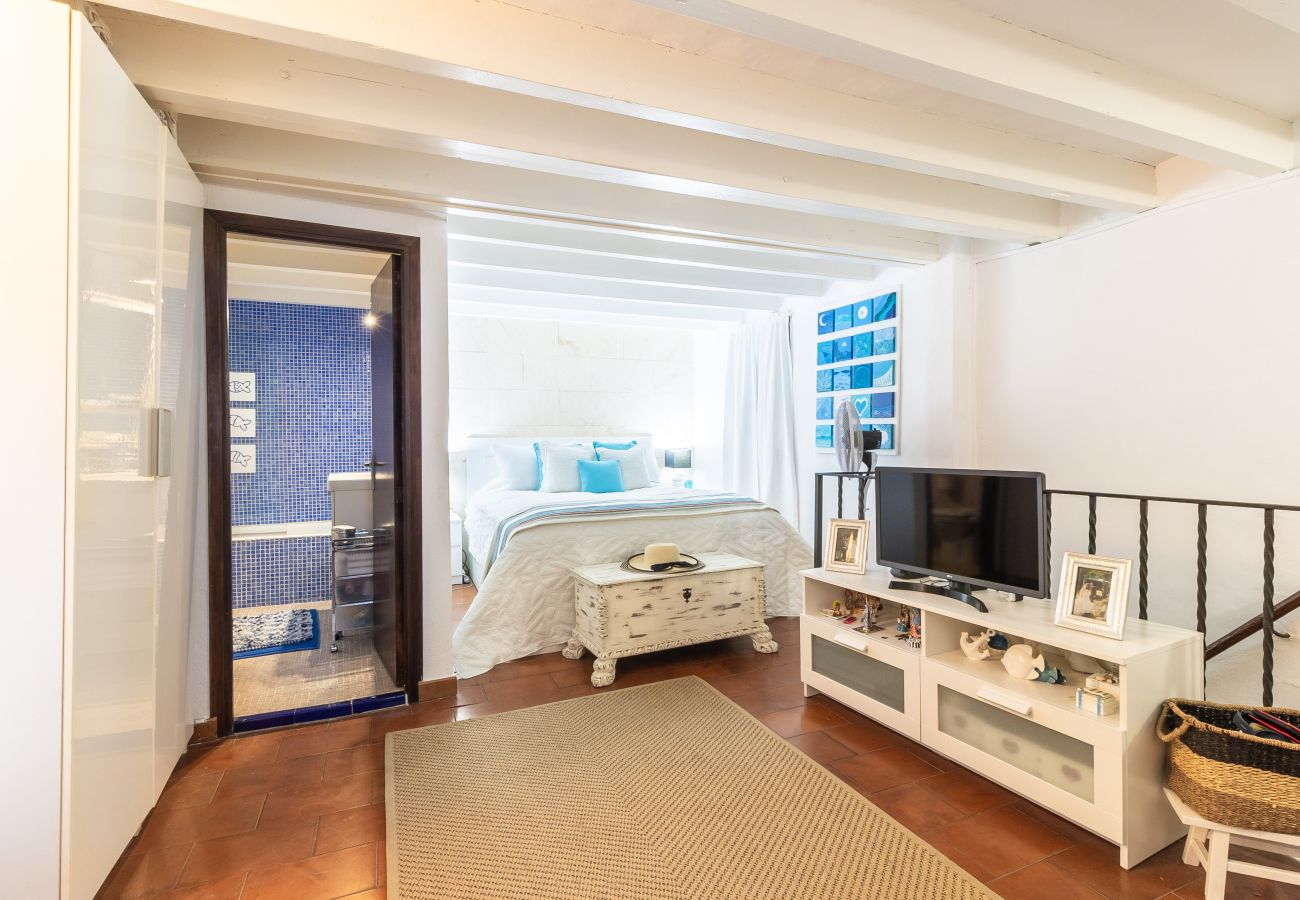Estudio en Palma  - Estudio La Lonja Palma Casco Antiguo para Alquiler Mensual