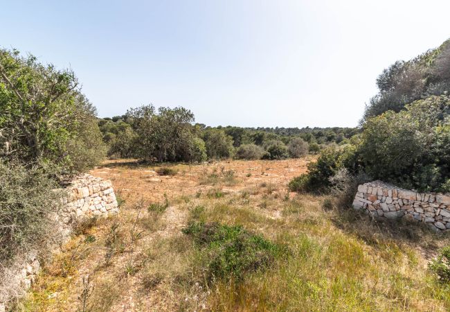 Parcela en Santanyi - Terreno de finca cerca de Santanyí a 500 m de la playa con licencia de obra Parcela en Santanyi - Terreno de finca cerca de Santanyí a 500 m de la playa con licencia de obra