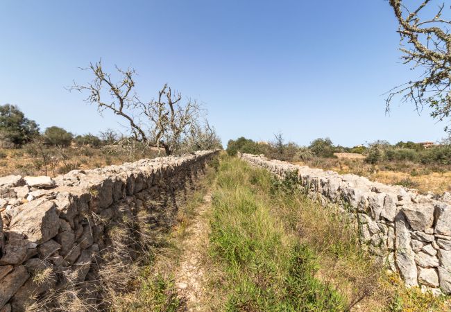 Parcela en Santanyi - Terreno de finca cerca de Santanyí a 500 m de la playa con licencia de obra Parcela en Santanyi - Terreno de finca cerca de Santanyí a 500 m de la playa con licencia de obra