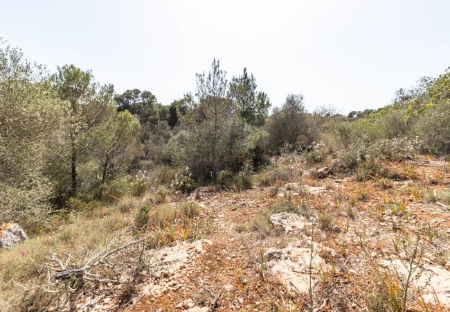 Parcela en Santanyi - Terreno de finca cerca de Santanyí a 500 m de la playa con licencia de obra Parcela en Santanyi - Terreno de finca cerca de Santanyí a 500 m de la playa con licencia de obra
