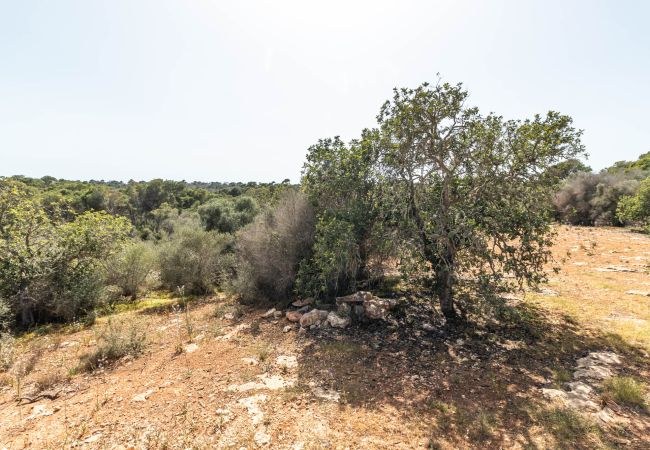 Parcela en Santanyi - Terreno de finca cerca de Santanyí a 500 m de la playa con licencia de obra Parcela en Santanyi - Terreno de finca cerca de Santanyí a 500 m de la playa con licencia de obra