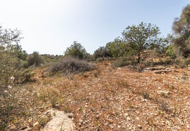 Parcela en Santanyi - Terreno de finca cerca de Santanyí a 500 m de la playa con licencia de obra Parcela en Santanyi - Terreno de finca cerca de Santanyí a 500 m de la playa con licencia de obra