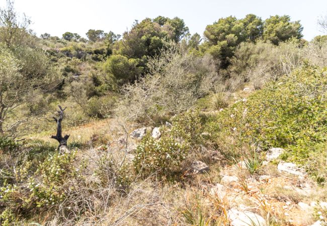 Parcela en Santanyi - Terreno de finca cerca de Santanyí a 500 m de la playa con licencia de obra Parcela en Santanyi - Terreno de finca cerca de Santanyí a 500 m de la playa con licencia de obra