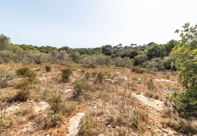 Parcela en Santanyi - Terreno de finca cerca de Santanyí a 500 m de la playa con licencia de obra Parcela en Santanyi - Terreno de finca cerca de Santanyí a 500 m de la playa con licencia de obra