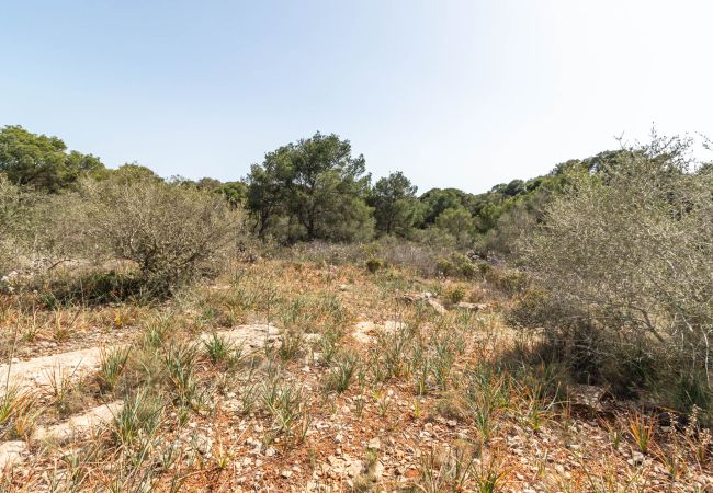 Parcela en Santanyi - Terreno de finca cerca de Santanyí a 500 m de la playa con licencia de obra Parcela en Santanyi - Terreno de finca cerca de Santanyí a 500 m de la playa con licencia de obra