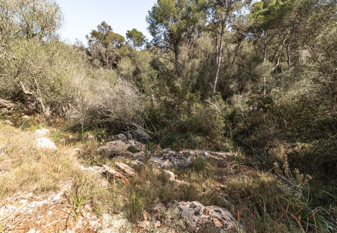 Parcela en Santanyi - Terreno de finca cerca de Santanyí a 500 m de la playa con licencia de obra Parcela en Santanyi - Terreno de finca cerca de Santanyí a 500 m de la playa con licencia de obra